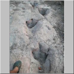 102_6592 (2013-08-10)m.JPG